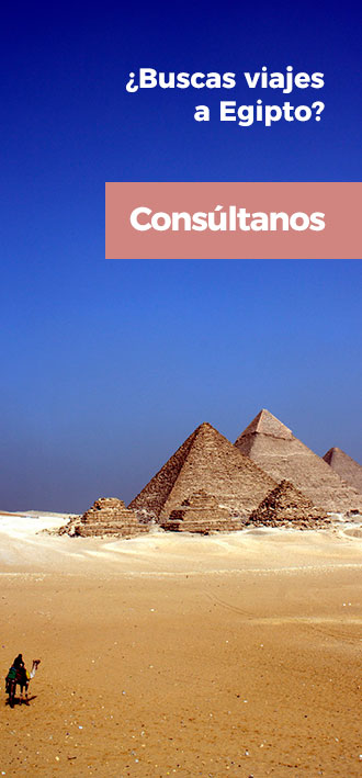 consultanos